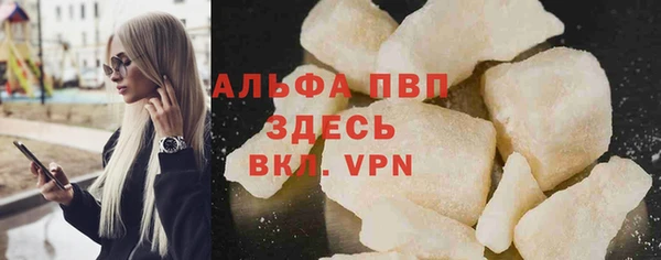стаф Алексин