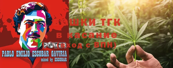 стаф Алексин
